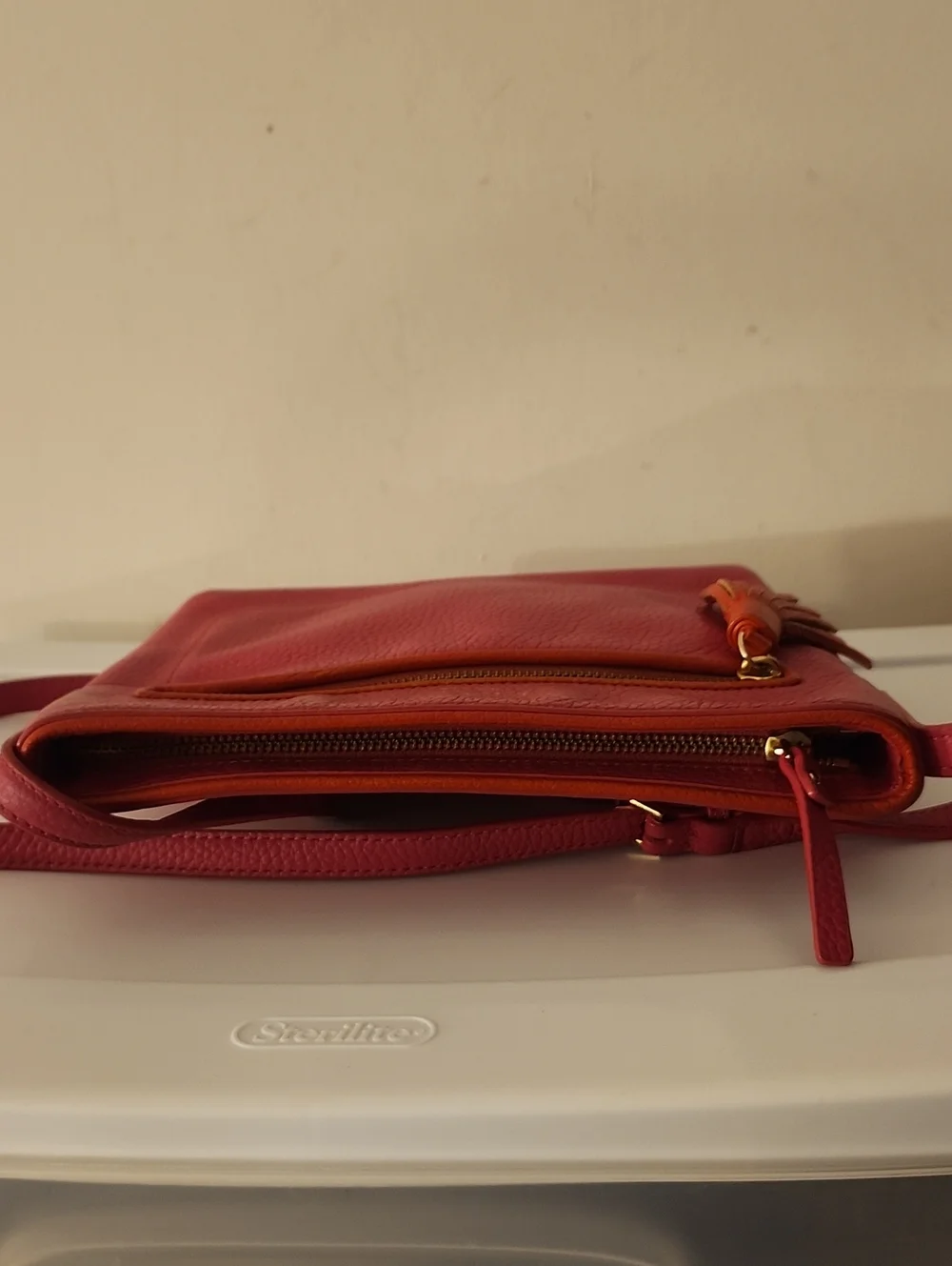 Kate Spade Chester St Dessi Crossbody w/Free Juicy Wallet